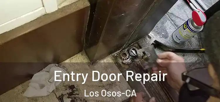 Entry Door Repair Los Osos-CA