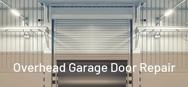 Overhead Garage Door Repair